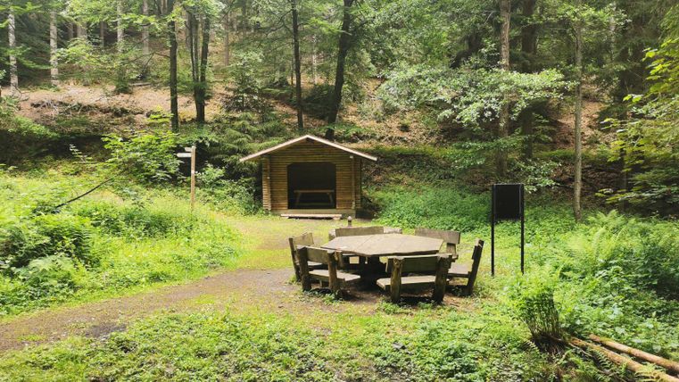 Ein gemütlicher Rastplatz im Wald mit einem Holzunterstand und einem großen Tisch. Umgeben von grünen Pflanzen und Bäumen bietet er eine ruhige Atmosphäre.