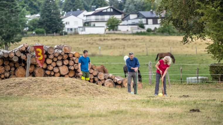 Een groep mensen speelt op een weiland nabij houtstapels. Op de achtergrond zijn huizen en een groene landschap te zien.