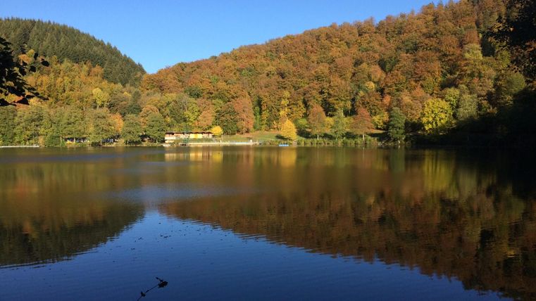 Ein ruhiger See, umgeben von buntem herbstlichem Laub. Die spiegelnde Wasseroberfläche reflektiert die farbenfrohen Bäume im Hintergrund.