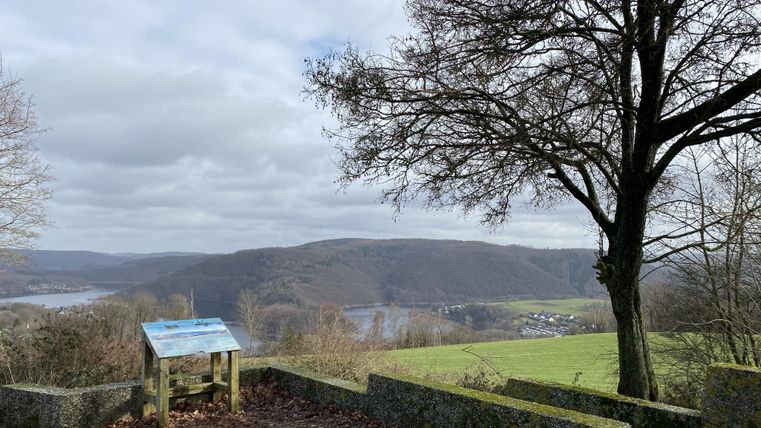 Een uitzicht op een vallei met een rivier en zachte heuvels op de achtergrond. Een boom staat links in het beeld, terwijl een informatiepaneel op de voorgrond zichtbaar is.