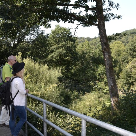 Blick ins Tal der Kleinen Kyll, &copy; GesundLand Vulkaneifel GmbH