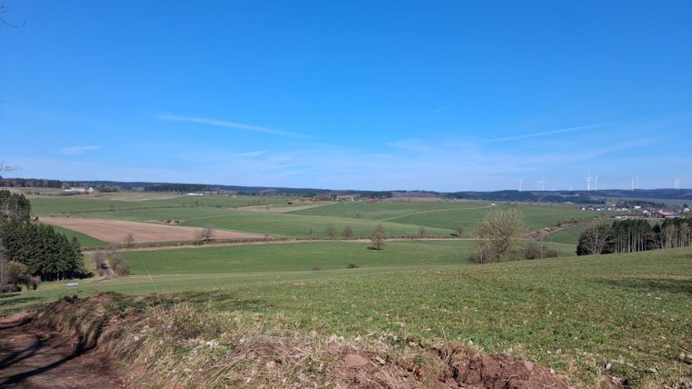 A vast landscape with green fields and a clear blue sky. In the distance, trees and wind turbines can be seen.
