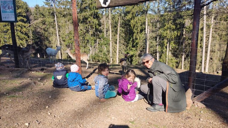 Eine Gruppe von Kindern sitzt auf dem Boden und beobachtet Tiere im Gehege. Im Hintergrund sind Bäume und weitere Tiere sichtbar.