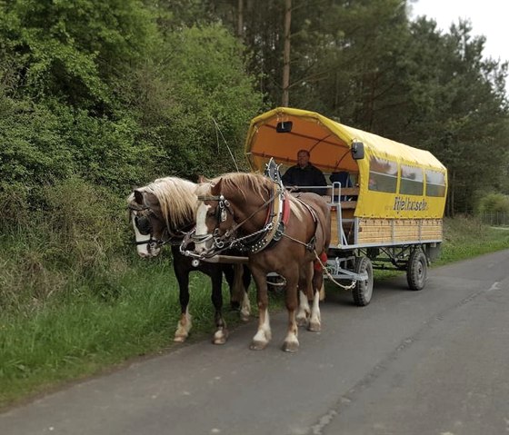 Planwagenfahrt Eifelkutsche (1), &copy; Barger