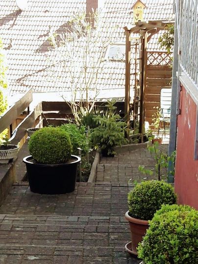 Een onderhouden tuinpad met beplante potten en een pergola op de achtergrond. Gezellige sfeer met zonneschijn en groene plantengroei.