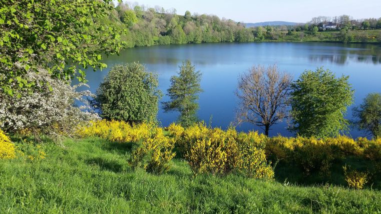 Ein ruhiger See umgeben von üppigem Grün und bunten Blumen. Die Landschaft strahlt eine friedliche Atmosphäre aus.