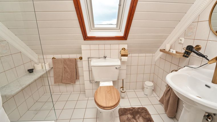 A small, modern bathroom with a skylight. It features a shower, toilet, and sink.