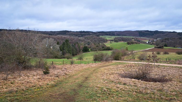 Een rustige landschap met zachte heuvels en groene weiden. De lucht is bewolkt en de sfeer is vredig.
