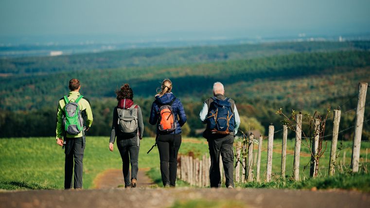 Eine Gruppe von vier Wanderern geht einen Weg entlang, umgeben von grünen Feldern und einem weiten Blick in die Ferne. Die Stimmung ist entspannt und die Natur ist schön.