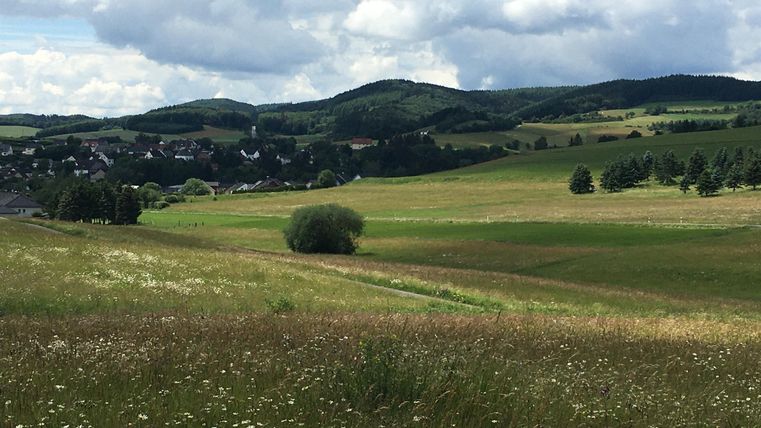 Eine grüne Landschaft mit sanften Hügeln und bewölktem Himmel. Im Vordergrund sind Blumen und hohe Gräser zu sehen.