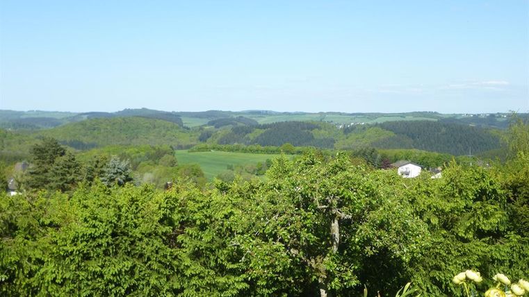 Eine grüne Landschaft mit sanften Hügeln und einem klaren Himmel. Im Vordergrund sind Bäume und Sträucher zu sehen.