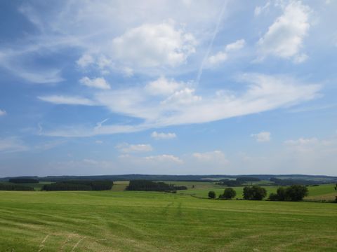 Een ruime weidelandschap onder een blauwe lucht met enkele wolken. Op de achtergrond zijn zachte heuvels en bomen te zien.