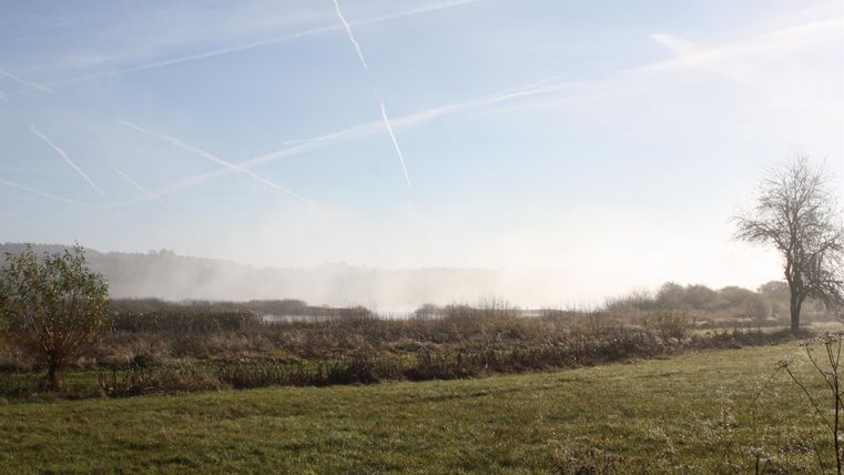 Eine ruhige Landschaft mit sanften Hügeln und einem klaren, blauen Himmel. Es gibt einige Bäume und leichten Nebel in der Ferne.