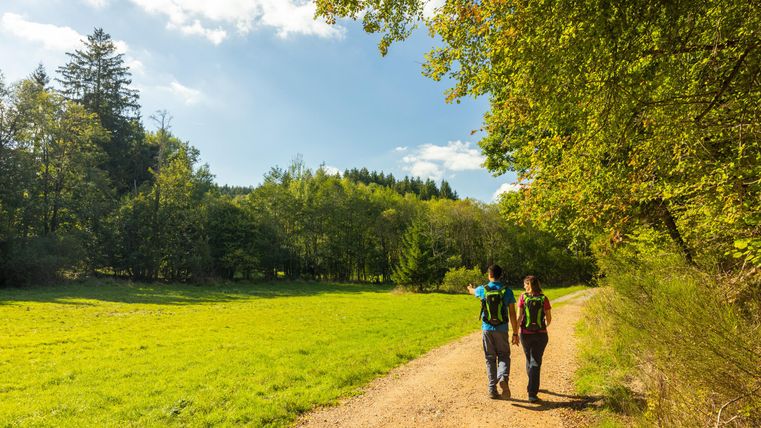 Zwei Wanderer gehen auf einem Weg durch eine grüne Landschaft. Im Hintergrund sind Bäume und ein blauer Himmel zu sehen.