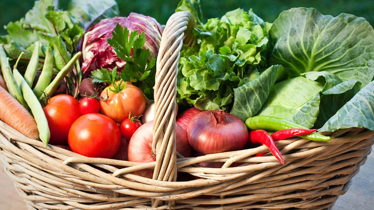 Symbolbild-Auf einem alten Holzbalken steht ein viereckiger, geflochtener Korb. Im Korb  liegen verschiedene Gemüse wie Kohlrabi, rote Beete, Paprika,Zwiebeln, Petersilienwurzel und Tomaten.<br/>Rechts sieht man einen  Kopf Salat, links ein Zweig Pfefferminze.