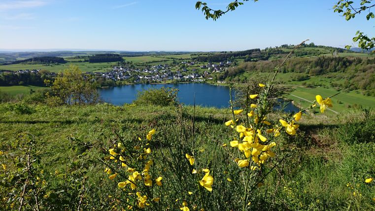 An idyllic landscape with a clear lake and a small village in the background.
Yellow flowers are blooming in the foreground, while the sky is blue and clear.