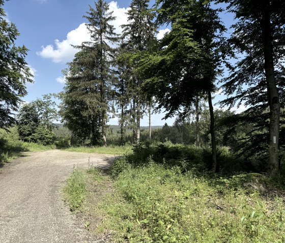 IMG_6642, &copy; Rureifel-Tourismus e.V., Dennis Winands