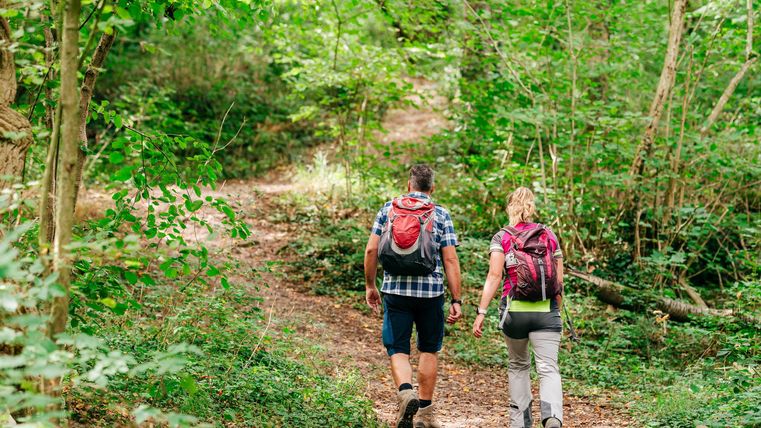 Two hikers are walking along a forest path. The surroundings are green and lush, with many trees and plants.