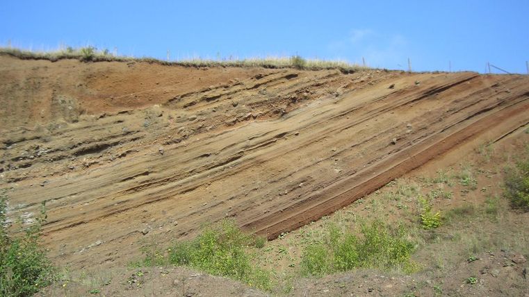 Layered rock at Rockeskyller Kopf, slightly inclined, with vegetation on the ground and a blue sky in the background.