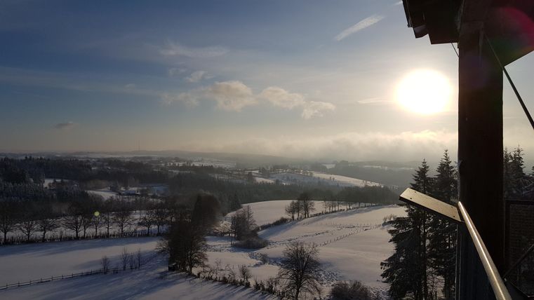 Eine winterliche Landschaft mit verschneiten Wiesen und Bäumen. Die Sonne scheint im Hintergrund und der Himmel ist teilweise bewölkt.