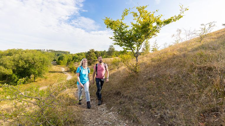 Two hikers walk along a narrow path, surrounded by gentle hills and trees. The sky is clear, and the landscape looks inviting.