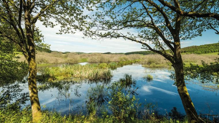 Eine ruhige Wasserlandschaft umgeben von Bäumen. Im Hintergrund sind sanfte Hügel und ein blauer Himmel zu sehen.