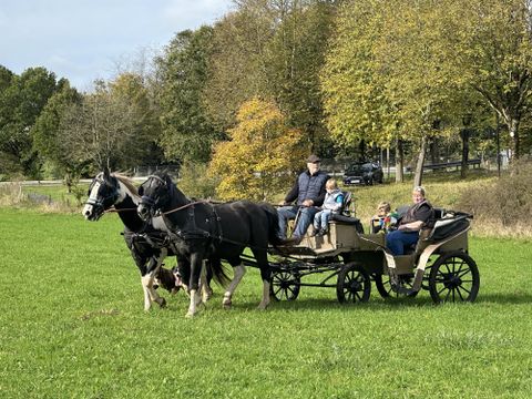 Familie auf Kutschfahrt über grüne Wiese, gezogen von zwei Pferden. Herbstliche Bäume im Hintergrund.