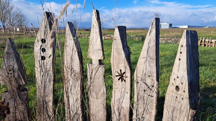 Ein Zaun aus geschnitzten Holzpfählen steht in einem grünen Feld. Im Hintergrund sind Wolken und einige Gebäude zu sehen.