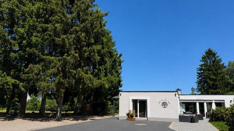 Ein modernes Haus umgeben von hohen Bäumen unter einem klaren blauen Himmel. Die Einfahrt ist gepflastert und einladend gestaltet.