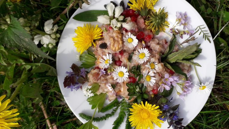 A plate with a colorful mix of edible flowers and herbs is on green grass. The fresh ingredients are arranged decoratively and give the image a vibrant, natural atmosphere.