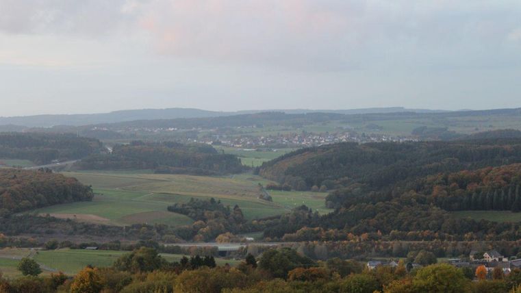 A quiet landscape with gentle hills and expansive fields. In the background, forests and a small village are visible.