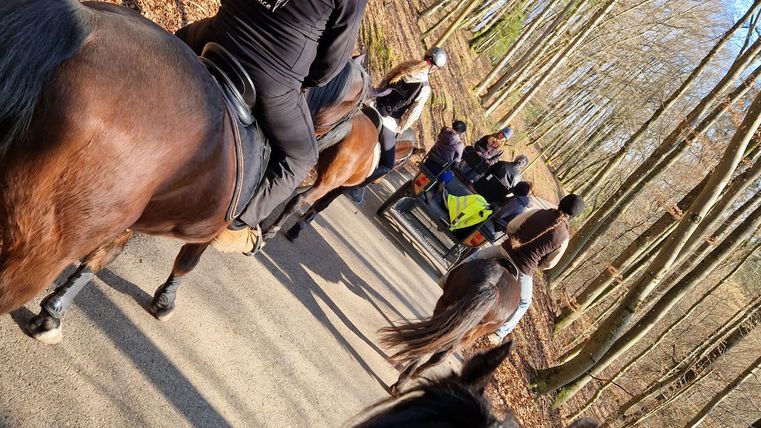 A group of riders on a path in the forest. The surroundings are quiet, covered with trees and dirt.
