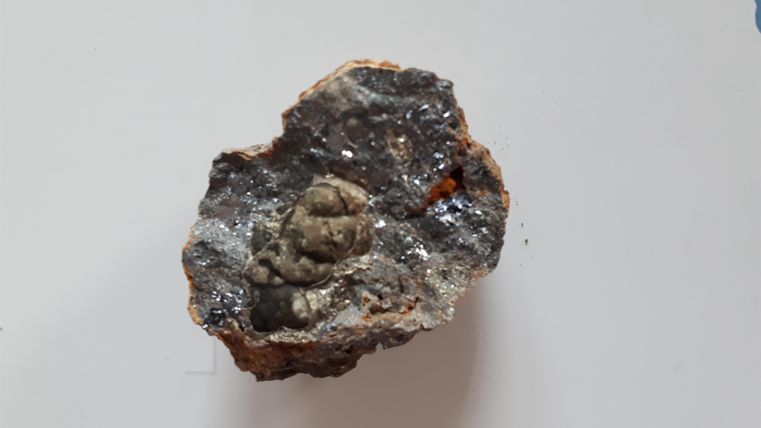 Een stuk gesteente met een klein, ingekapseld figuur in het interieur. Het oppervlak is ruw en toont verschillende minerale structuren.