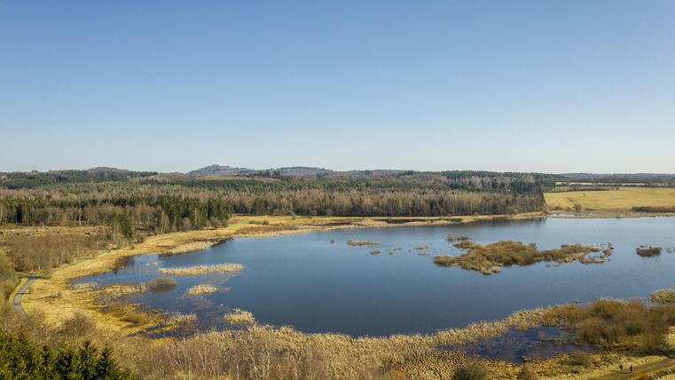 Ein ruhiger See umgeben von sanften Hügeln und Bäumen. Die Landschaft zeigt eine harmonische Kombination von Wasser und Natur.