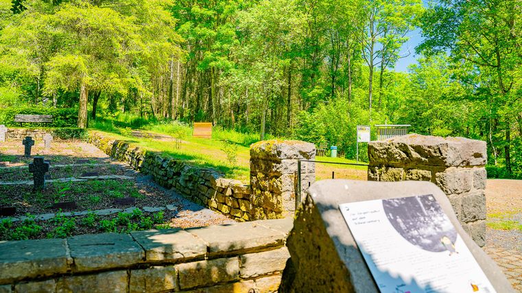 Ein schöner Wald mit grünen Bäumen und einem Aussichtspunkt. Im Vordergrund sieht man eine Steinformation mit Informationsschild.