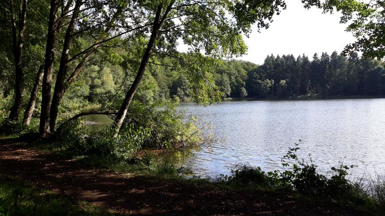 A quiet lake surrounded by green trees. The path along the water invites for a relaxed walk.