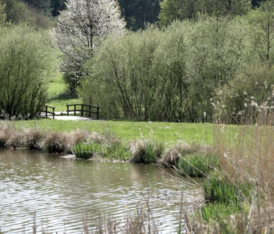 Ein Teich mit Schilf, umgeben von gr&uuml;nen B&auml;umen und einem bl&uuml;henden Baum. Eine kleine Holzbr&uuml;cke f&uuml;hrt &uuml;ber den Bach., &copy; Regnery