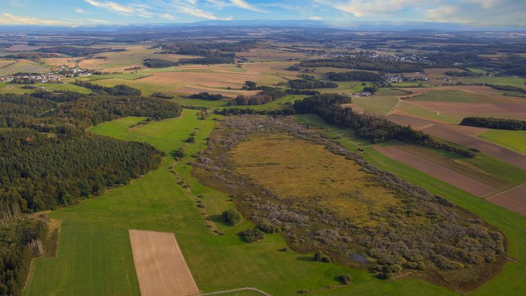 Eine weite Landschaft mit Feldern, Wälder und einem klaren blauen Himmel. In der Mitte ist eine große, bewaldete Fläche zu sehen.
