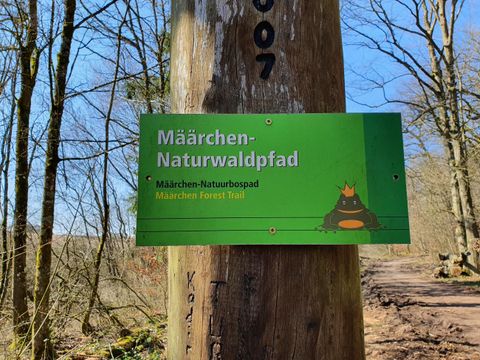 Ein Schild mit der Aufschrift „Märchen-Naturwaldpfad“ an einem Baum. Der Weg führt durch einen Wald und ist für Naturerlebnisse gedacht.