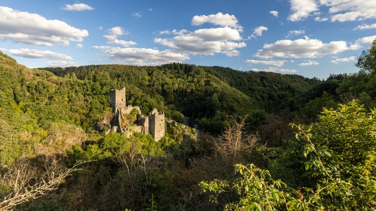 Blick auf die Manderscheider Burgen inmitten grüner Wälder unter blauem Himmel mit Wolken.