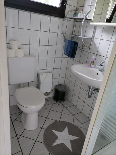 Een kleine, moderne badkamer met witte tegels. Het bevat een toilet, een wastafel en een douche.