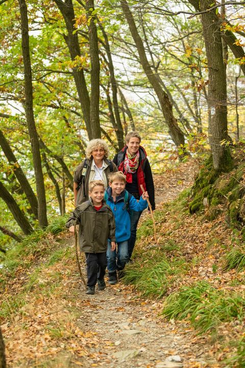 Een familie wandelt op een pad in het bos. De kleurrijke bladeren in de herfst creëren een mooie sfeer.