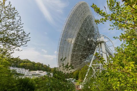 Ein großes Radioobservatorium umgeben von Bäumen und grüner Landschaft. Der Himmel ist blau mit wenigen Wolken.