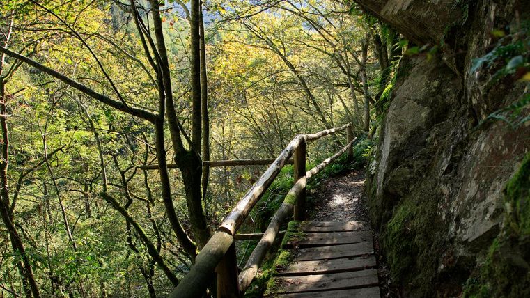 Een smalle houten brug loopt door een groene bos met bomen en rotsen. De zonnestralen schijnen door het bladerdak en creëren een aangename sfeer.