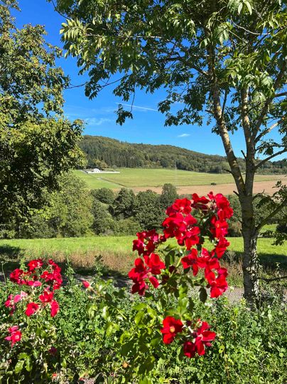 Ein schöner Ausblick auf eine grüne Landschaft mit einem blauen Himmel und einem Feld im Hintergrund. Rote Blumen blühen im Vordergrund.