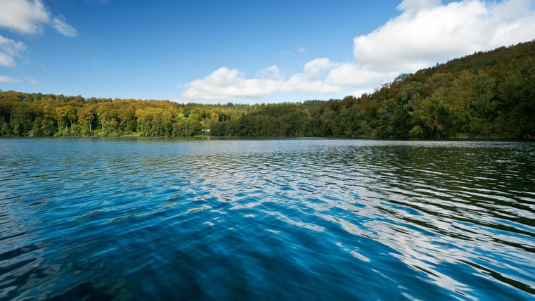 Een rustige vijver met helder water en zachte golven. Aan de oever zijn bomen in herfstkleuren te zien.