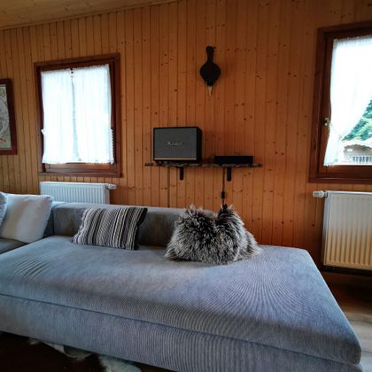 Een gezellige woonkamer met een grijze bank en decoratieve kussens. Heldere ramen en een houten muur creëren een warme sfeer.