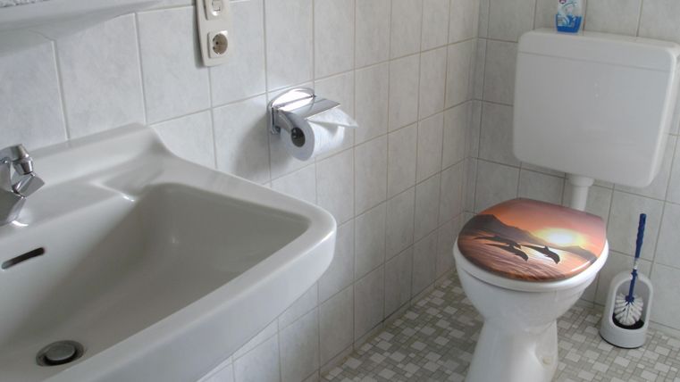 Ein einfaches Badezimmer mit einem Waschbecken und einer Toilette. Der Toilettensitz hat ein kreatives Design mit einem Sonnenuntergang.