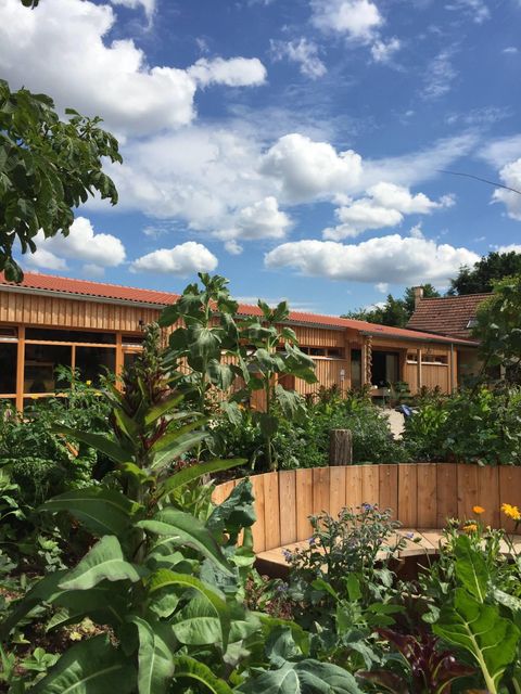 Ein schöner Garten mit vielen Pflanzen und einem Holzgebäude im Hintergrund. Der Himmel ist klar und blau, mit einigen bunten Wolken.
