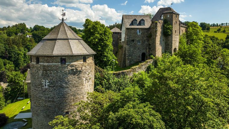 Eine alte Burg umgeben von Bäumen und grüner Landschaft. Der Himmel ist blau mit einigen Wolken.